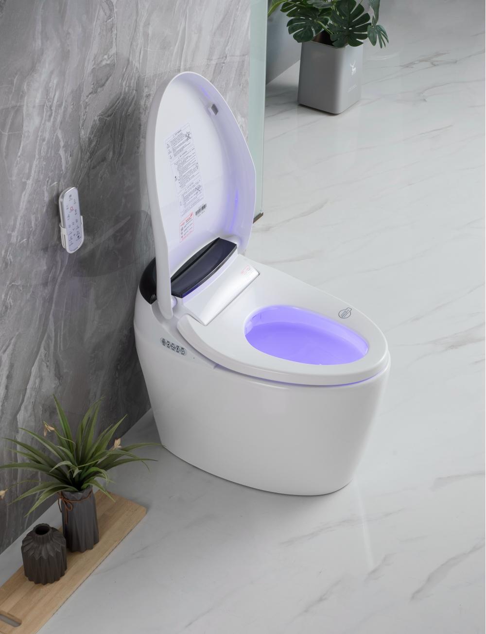 2207 3smart Toilet