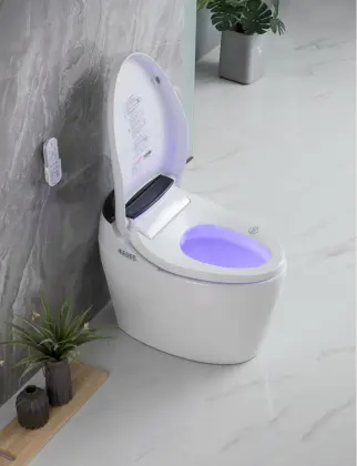 Bathroom Intelligent Toilet Electric Automatic Toilet