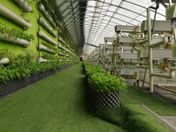 Multi layer Vertical Cultivation Frame