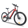 Vendita calda Electric Mountain Bicycle