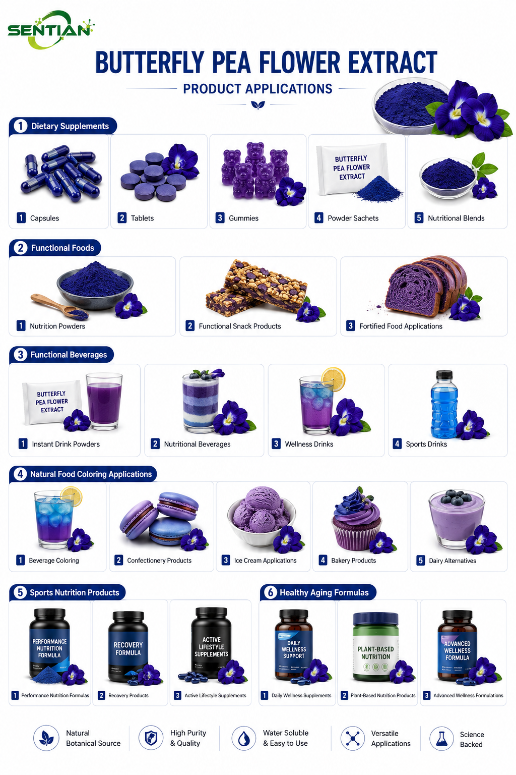 Butterfly Pea Flower Extract2