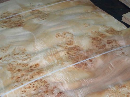 Mappa Burl Wood Veneer