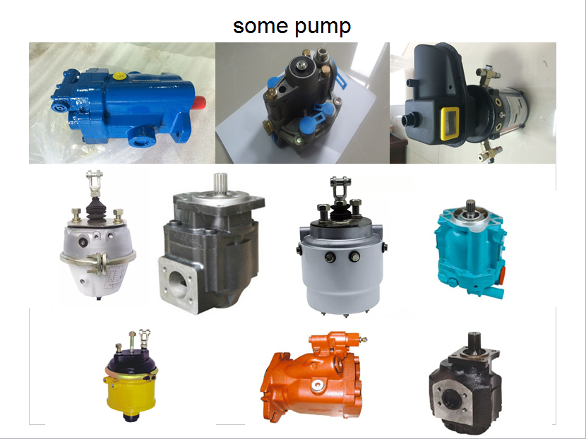 Terex tr60 hydraulic hoist pump assy 15020938 China Manufacturer