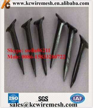 Cheap!!!!!!! KangChen Galvanized Shoe Tacks/Harden Blue Shoe Tacks/ Black Shoe Nail