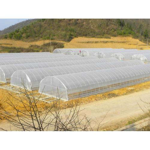 Standard Single Span Film Shelter