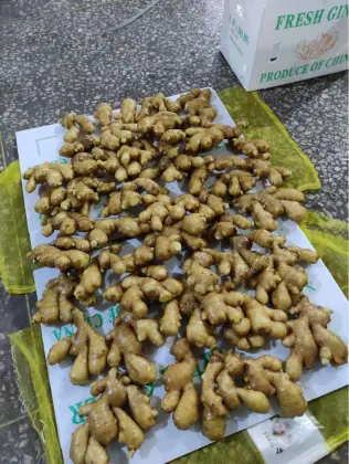 Fresh Ginger Dried Ginger