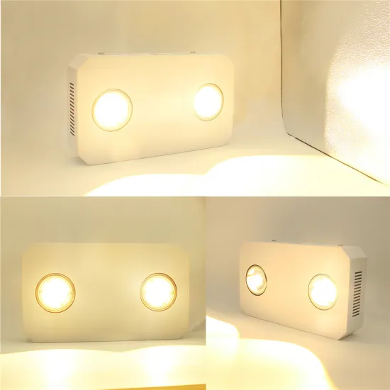 hot sale indoor plant 300w led grow light for growing vegetables