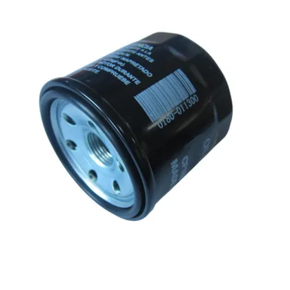 Oil Filter for CFMoto, ZForce, 500cc, 600cc, X6L UTV, ATV, CForce, Hisun 700cc Parts