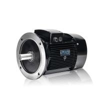 Moteur de réduction à engrenage à vis sans fin robuste