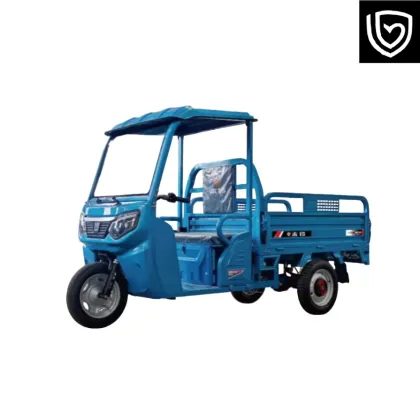 Electric Tricycle with Balanced Performance