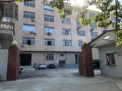 High Quality ABS Chrome Mirror Trim for 2016 Toyota Hilux Revo Door Mirror Cover