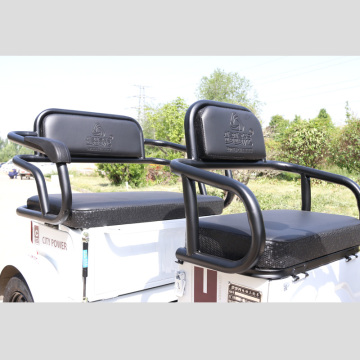 48V 500W High Quality Three Person electric tricycle