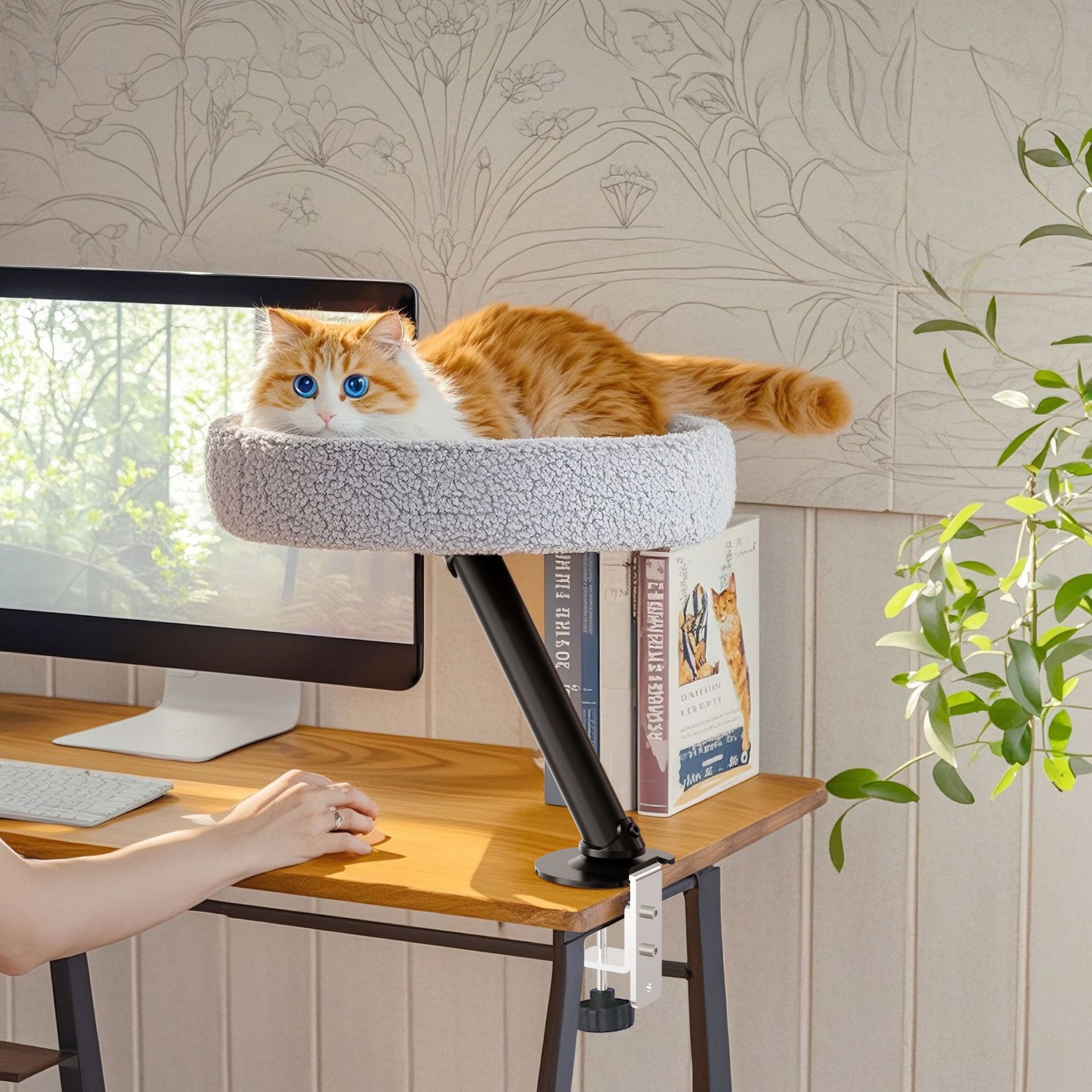desktop cat bed 2