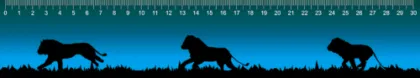 3d Ruler 