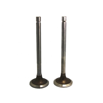 Chinese Truck Engine Parts: Finding the Right Intake Valve (Part Number 10BF11-07012)