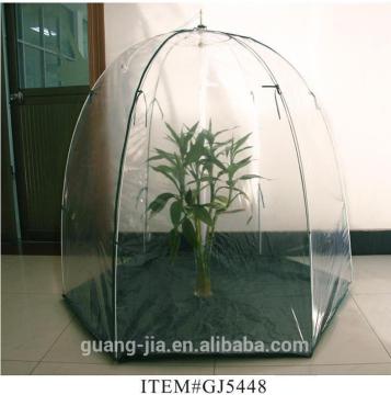 garden greenhouse