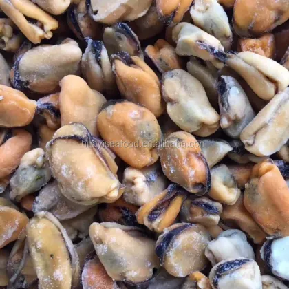wholesale shellfish delicious and tasty seafood mussel meat