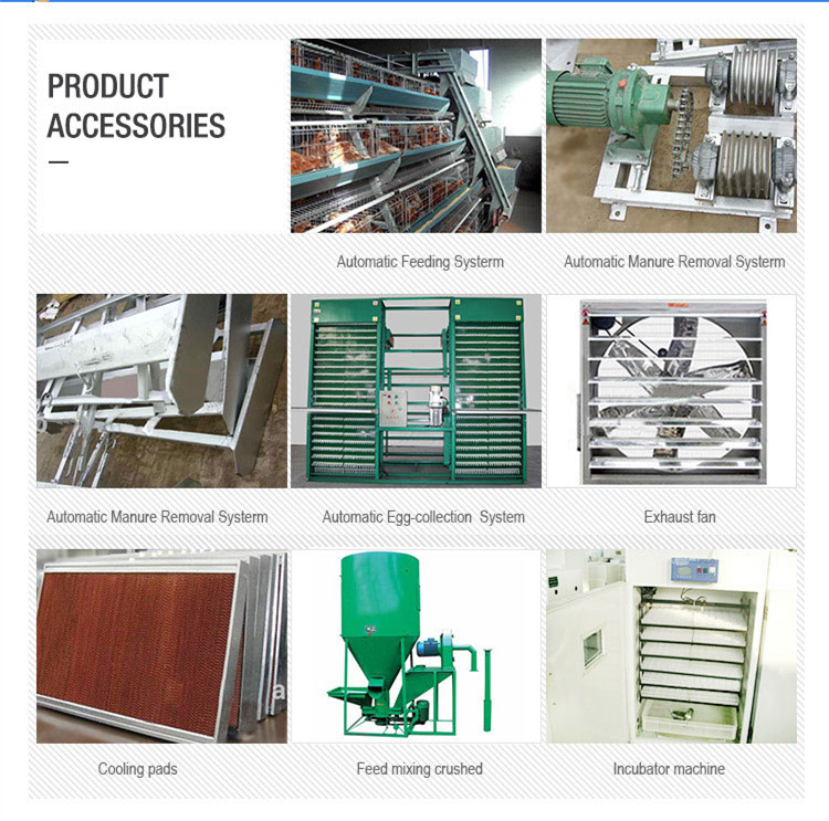 A type layer cage accessories