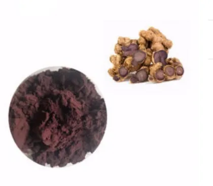 Organic Kaempferia Parviflora Black Ginger Extract Powder