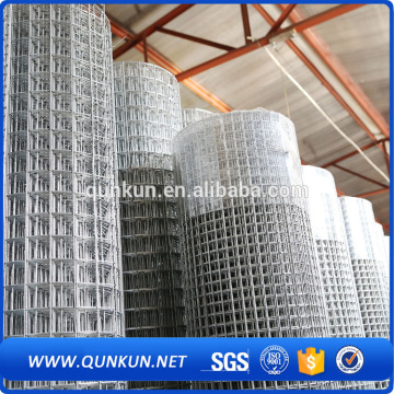 2x2 galvanized welded wire mesh