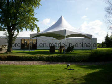 Spring Top Tent for Sale (SPT-01)