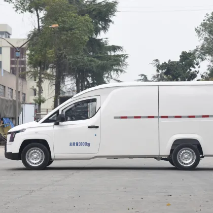 Lingshi Golden Warehouse Van
