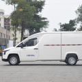 Lingshi Golden Warehouse New Energy Truck