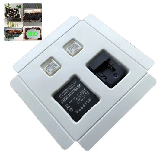 Eco Biodegradable Molded Bagasse Pulp Packaging Tray