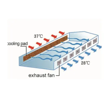 Evaporative Cooling System