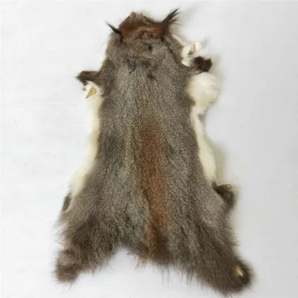 squirrel hides tanned squirrel skin grey squirrel fur pelt