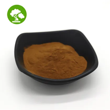 High Quality Reishi Mushroom Extract Ganoderma Lucidum