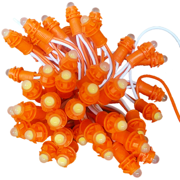 Waterproof Single Color LED String Lights for Baby and Garden Decoration (50 LEDs, 5M, DC 12V, 9mm)