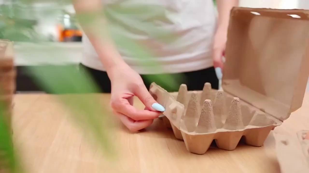 Eco-Friendly 6-Hole Paper Egg Tray