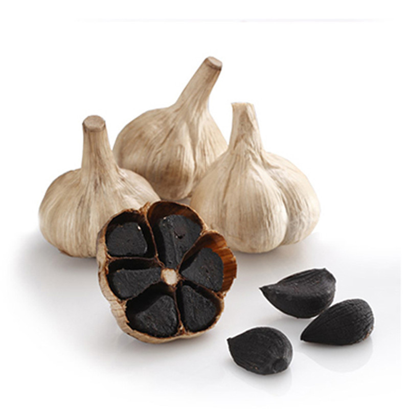 Multi Black Garlic 