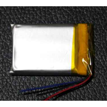 Batterie de polymère de 500mAh Li pour le tableau de bord (LP2X3T6)