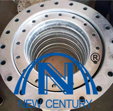 BS10 Standard Flange SO FL