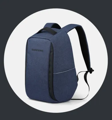 Waterproof Business Laptop Anti Theft Backpack Factory Price, OEM Polyester Travel Bobby Backpack With USB Charging Port