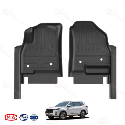 2017- DR 7.0 floor mats