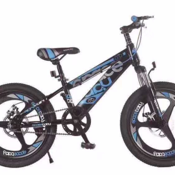 2019 New BMX MTB Bicycles for Teens on Sale