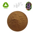 AJUGA TURKESTANICA EXTRACT NATURAL Turkesterone 2% Serbuk