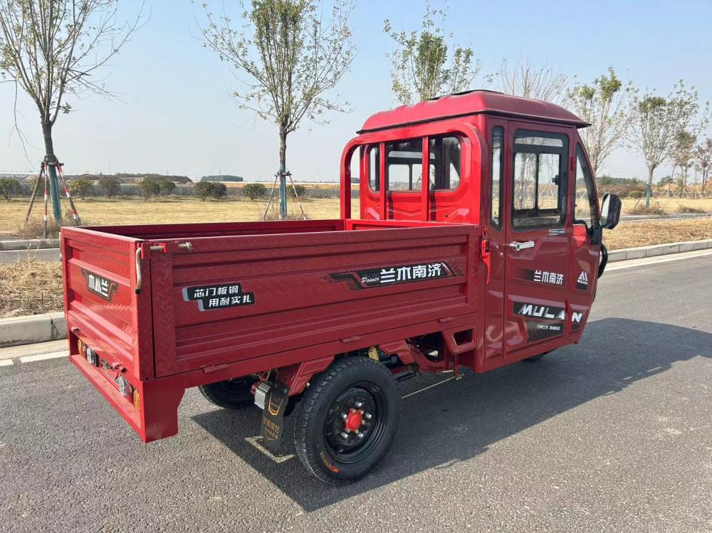 Cargo Electric Tricycle