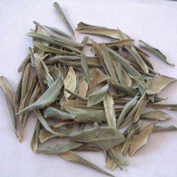 Yohimbe Bark Extract