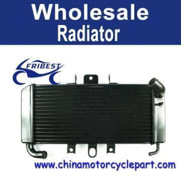 1998 For Yamaha FZS600 Aluminium Radiator FRDYA003