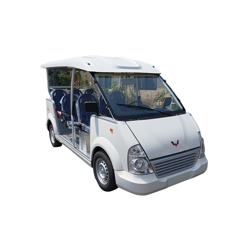 Open 5-seater electric sightseeing vehicle