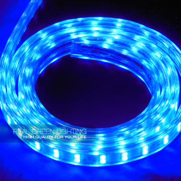 Super bright 18-20lm 220V SMD 5050 Blue Double row LED Strip Light