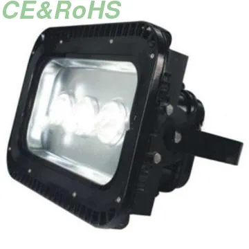 Induction Lamp Floodlight with CE and RoHS