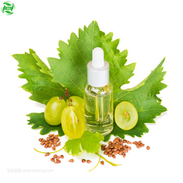 Supply Carrier Oil Cold Pressing Grape Seed Oil