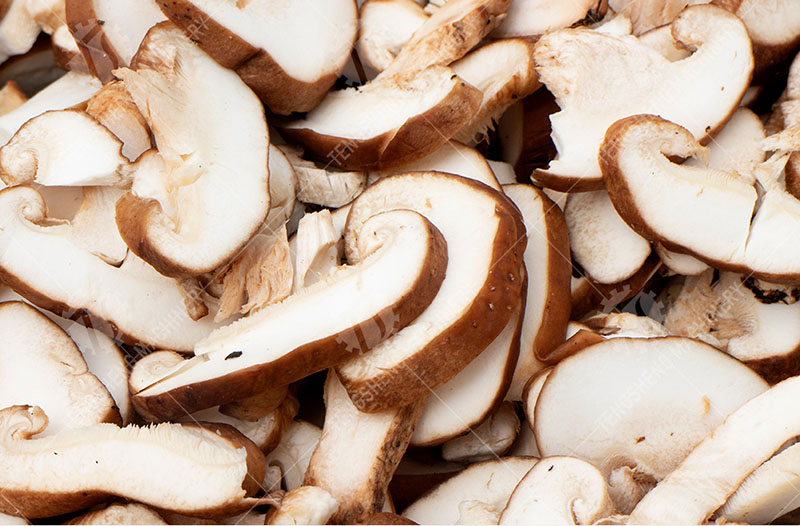 industrial mushroom slicer