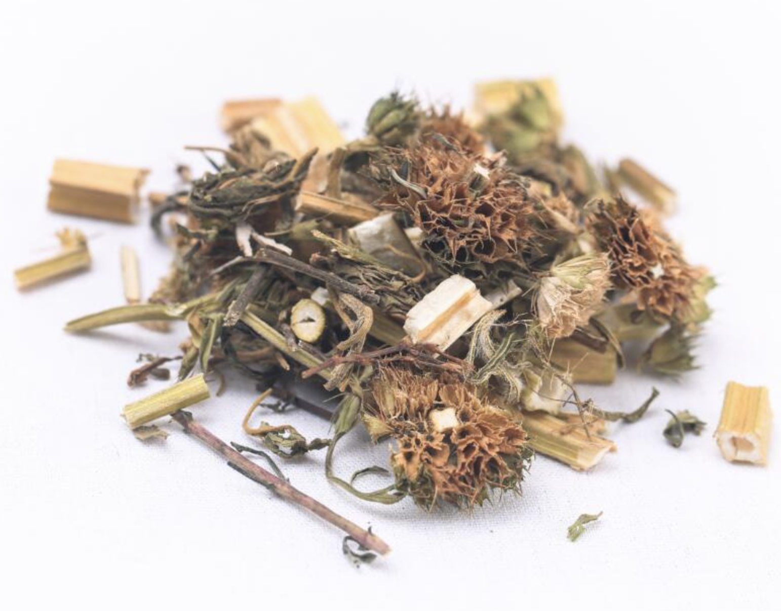 Motherwort Extract Supplier
