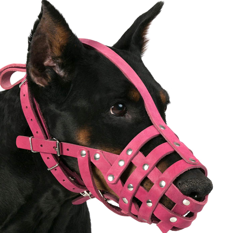 Pink Gray Leather Dog Muzzle